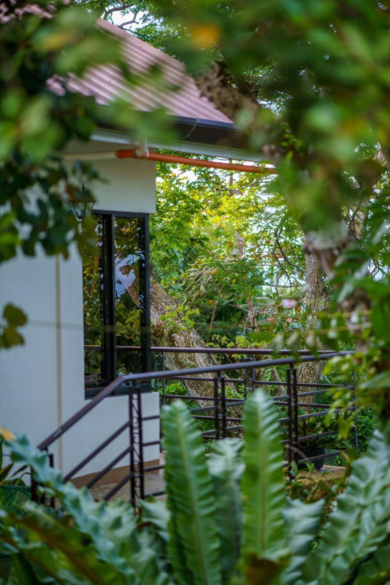 Oceanside 2 Bedroom House, 100Mbps Wifi Panglao Luaran gambar