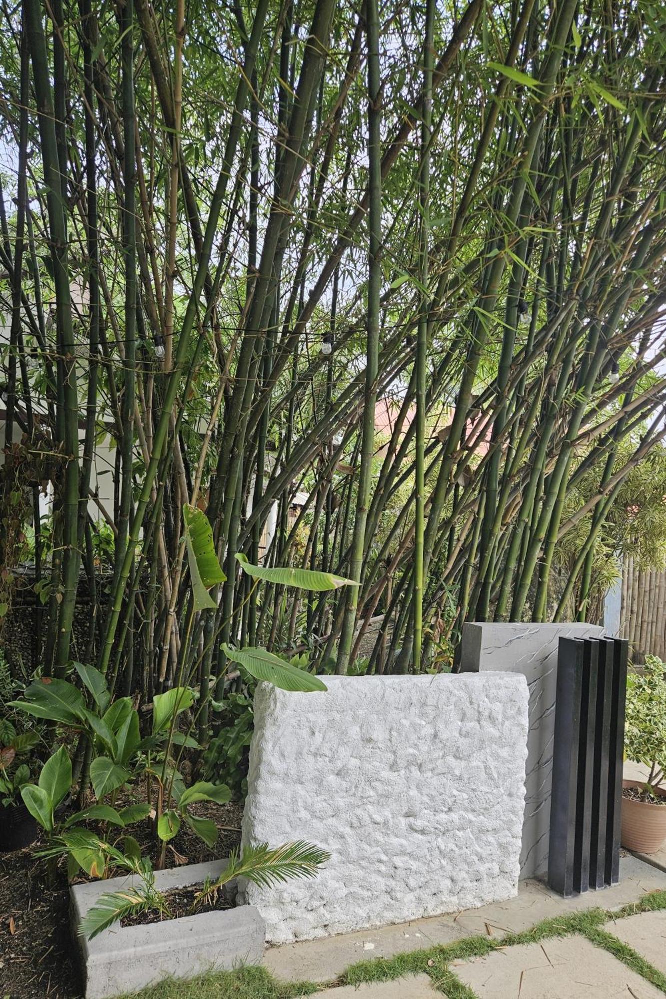 Oceanside 2 Bedroom House, 100Mbps Wifi Panglao Luaran gambar